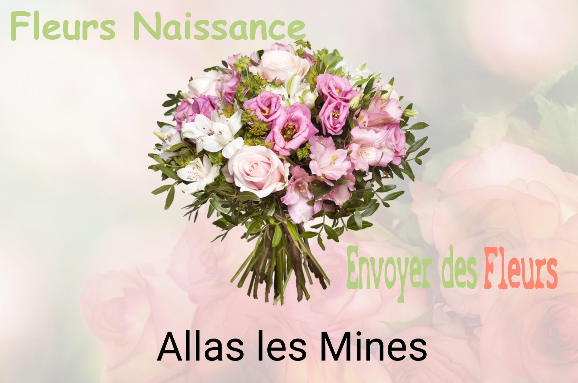 Bouquet de fleurs de naissance livré à Allas-les-Mines